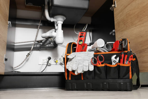 Best Plumbing Services Near Me  in Edwardsvle, IL