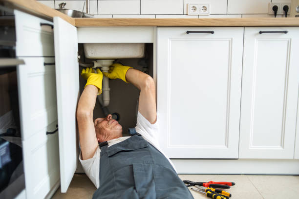 Best Commercial Plumbing Services  in Edwardsvle, IL