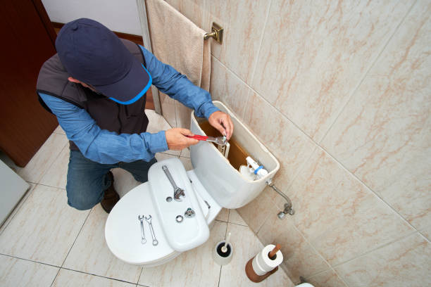 Best Toilet Repair Services  in Edwardsvle, IL