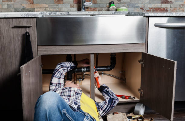 Best Local Plumber Services  in Edwardsvle, IL